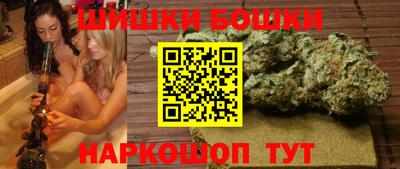 крисы Севастополь