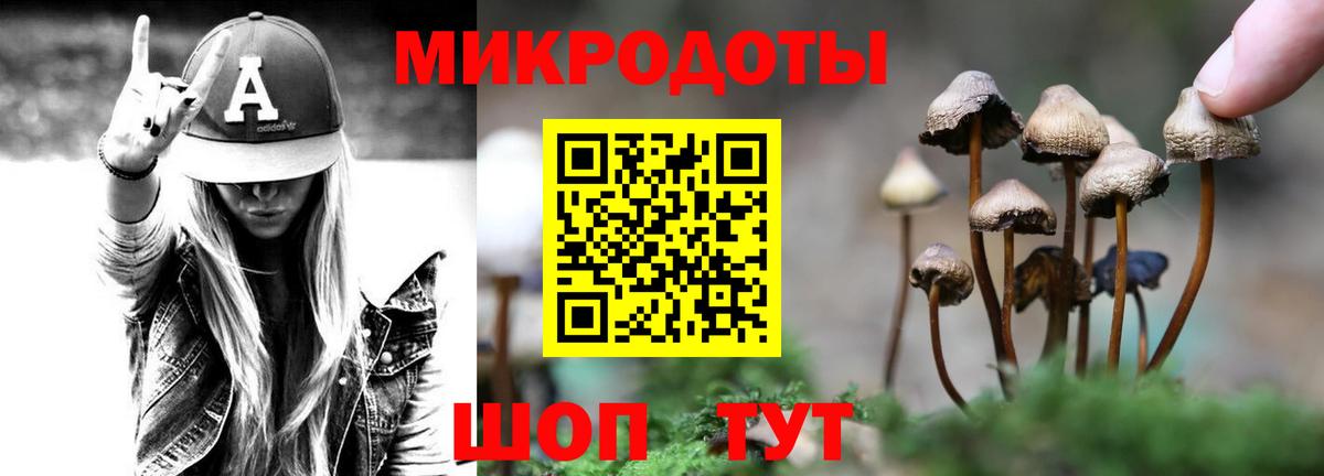 Галлюциногенные грибы Cubensis  цены   Галлюциногенные грибы MAGIC MUSHROOMS  Пенза  Вход с VPN 